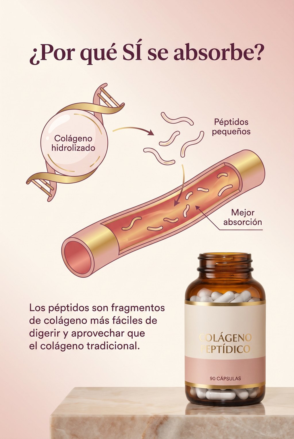Péptidos hidrolizados de mejor absorción